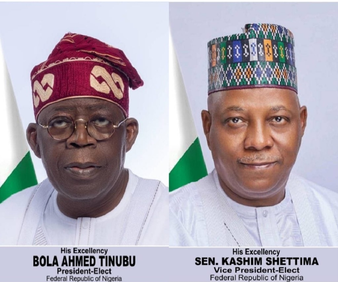 Presidential Transition Council Releases Official Portraits Of Tinubu ...